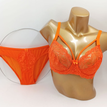 ست سوتین و شورت ایزابلا مدل 610